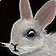 That Rabbit's Dynamite!