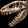 Cretaceous Collector