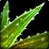 Heed the Weed