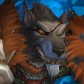 Character Avatar