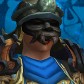 Character Avatar
