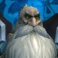 Character Avatar