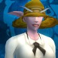 Character Avatar