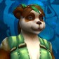 Character Avatar