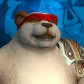 Character Avatar
