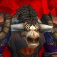 Character Avatar