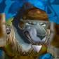 Character Avatar