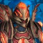 Character Avatar