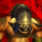 Logo of Horde