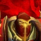 Logo of Horde