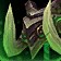 Tyrannical Gladiator's Endgame