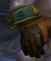 Councillor's Gloves of the Eagle