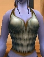 Crusader's Armor of the Eagle