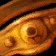Dawnspire Cord