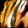 Tigerstrike Mantle