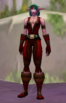 Imposing Vest of Agility