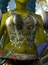 Sentry's Surcoat of the Bear