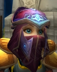 Field Marshal's Leather Mask