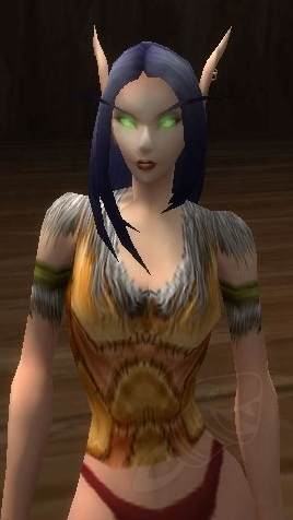 Patched Leather Jerkin