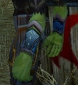 Windtalker's Wristguards