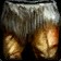Collective Legguards