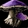 Runed Fungalcap
