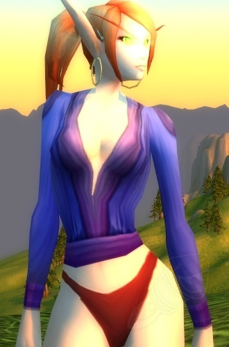 Vindicator Tunic of the Invoker