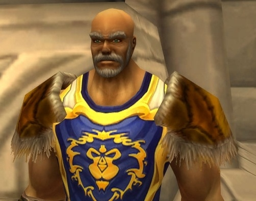 Ranger Pauldrons of Agility