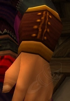 Expedition Bracers of the Beast