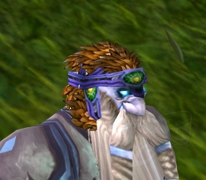 Dragonhawk Hat of Intellect