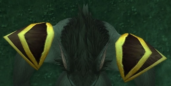 Talhide Shoulderguards of the Bandit