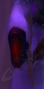 Warmaul Vambraces of the Champion