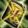 Blessed Book of Nagrand
