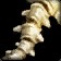 Dragonspine Trophy