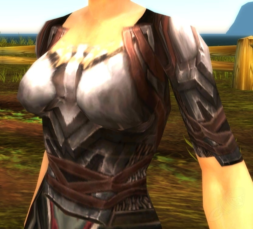 Wolvar Armor of the Bandit