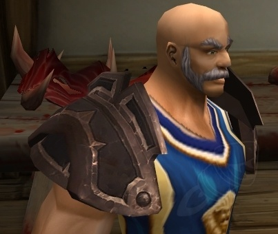 Bloodmar Pauldrons of the Champion