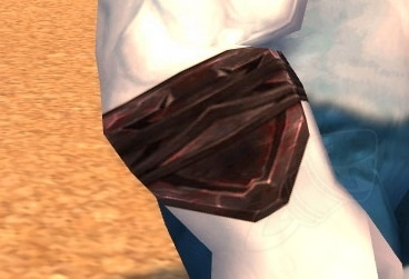 Dragonflayer Seer's Bindings