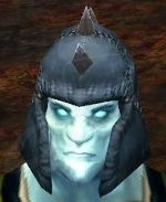 Snowfall Reaver Hood