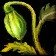 Direbrew Hops