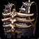 Rescuer's Chestguard