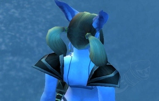 Darkcloth Shoulders of the Eagle