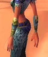 Steel-clasped Bracers