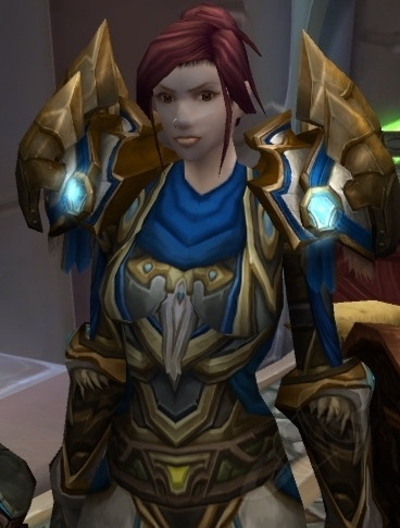 Chestguard of the Warden