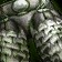 Goblin Brawler's Greaves
