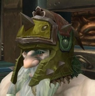 Fallen Sentry's Hood