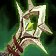 Wrathful Gladiator's Claymore
