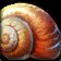Nautilus Ring