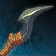 Dissector