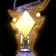 Hermit's Lamp