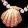 Cowry-Shell Pendant